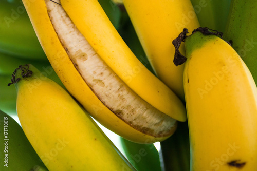 Green and yellow banana peel of Thailand