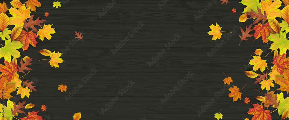 Fotografie Autumn Foliage Fall Header Wood