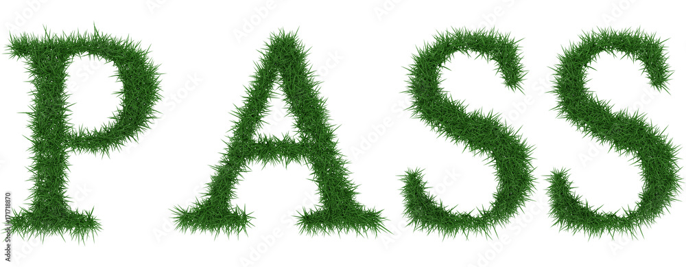 Pass - 3D rendering fresh Grass letters isolated on whhite background. Pass - 3D rendering fresh Grass letters isolated on whhite background.