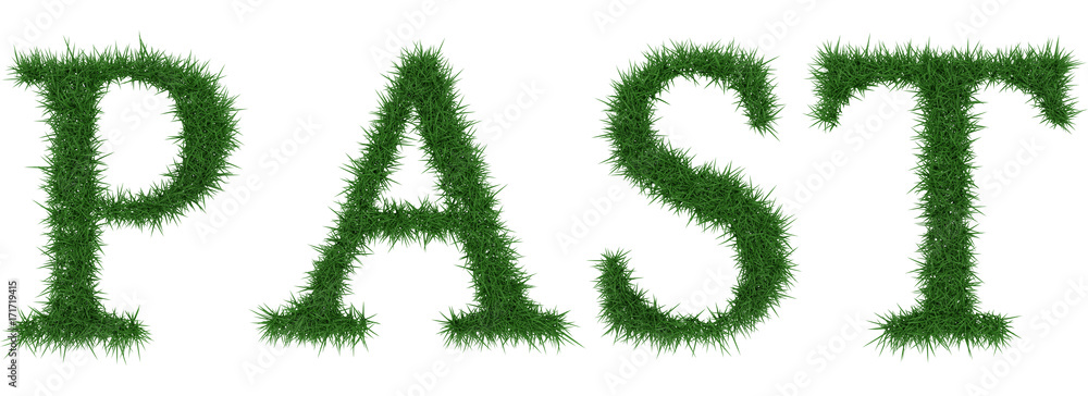 Past - 3D rendering fresh Grass letters isolated on whhite background. Past - 3D rendering fresh Grass letters isolated on whhite background.