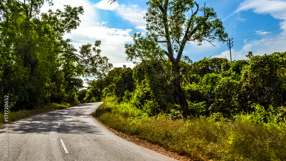 Smooth Roads of South Goa with dense Jungle on both sides, India