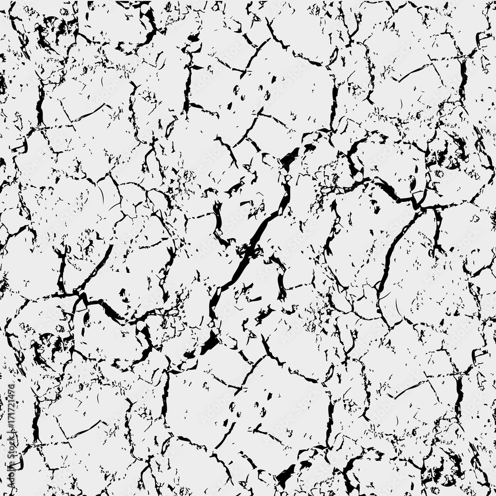 Fototapeta premium Dry Land ground overlay Texture Background