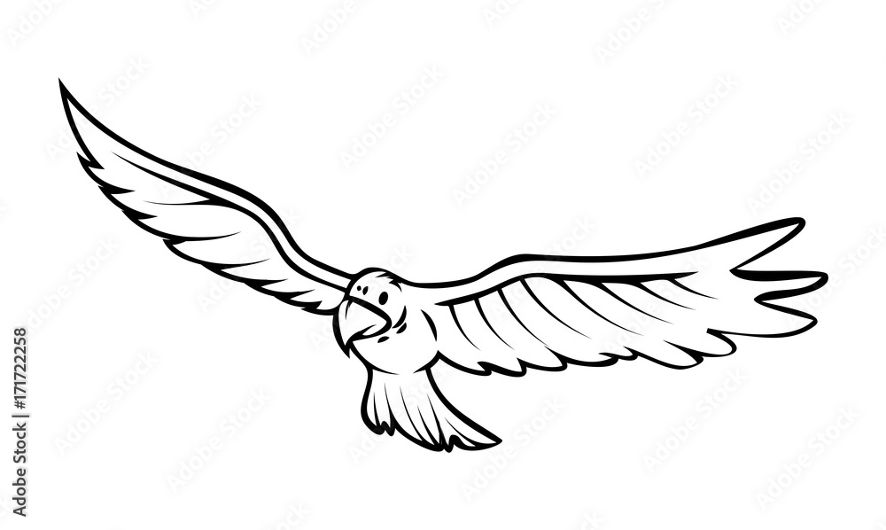 Obraz premium Falcon Bird Vector Drawing
