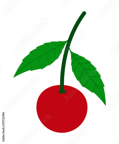Cherry Shape Vector