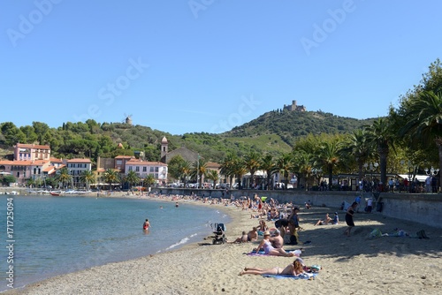 Plage de Port Avall à Collioure  photo