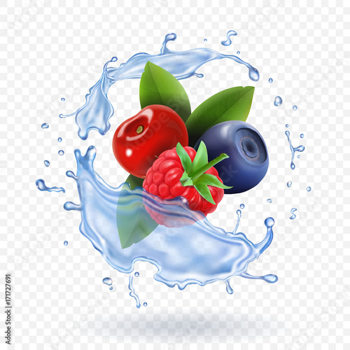 Splash of fresh Mixed forest berries realistic vector icon set