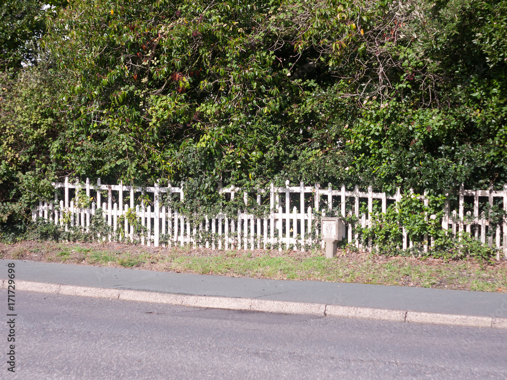 white fence across the road with trees behind white fence across the road with trees behind