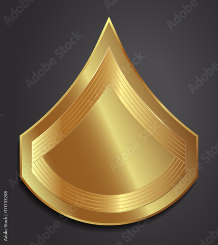Military Ranks and Insignia. Stripes and Chevrons of Army