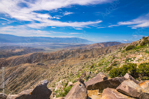 Keys View, Joshua Trees in Joshua Tree National Park, Riverside County and San Bernardino County, California, USA