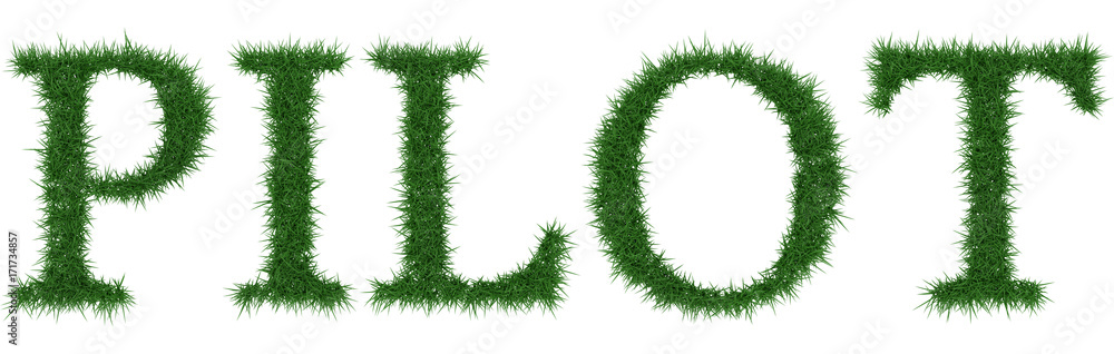 Pilot - 3D rendering fresh Grass letters isolated on whhite background. Pilot - 3D rendering fresh Grass letters isolated on whhite background.