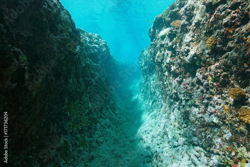 Underwater trench into the outer reef, Pacific ocean, French Polynesia