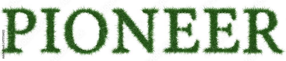 Pioneer - 3D rendering fresh Grass letters isolated on whhite background. Pioneer - 3D rendering fresh Grass letters isolated on whhite background.