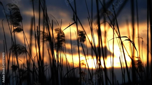 Tramonto sul lago di Oggiono