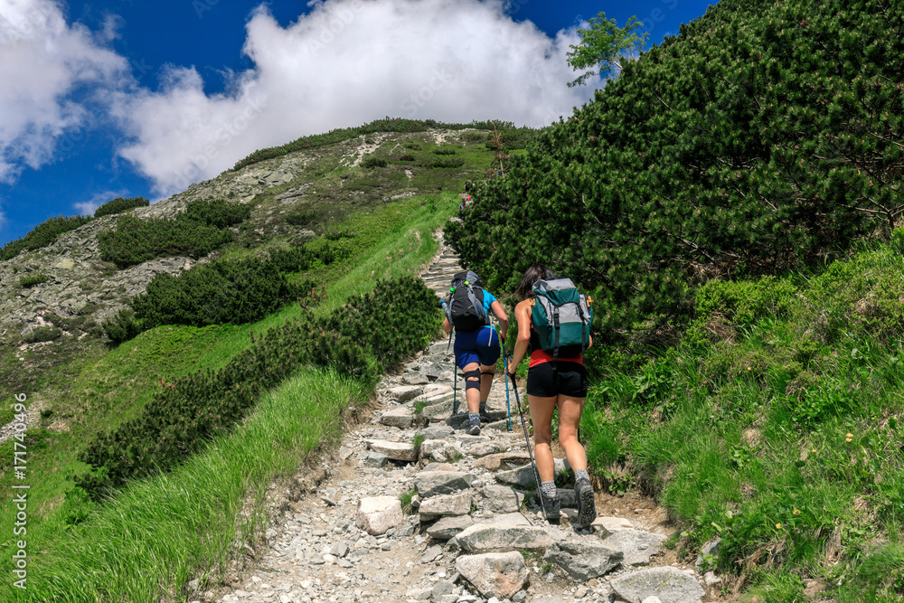 Fototapeta premium Tourists hiking on the rocky path in Tatra mountains, Poland