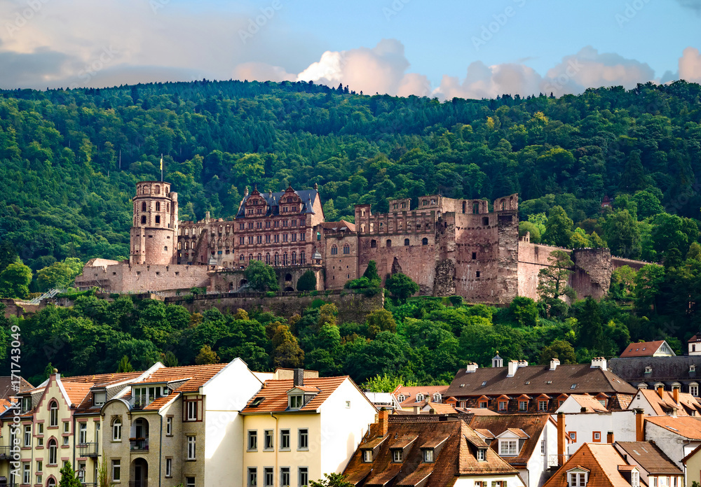 Blick auf das Heidelberger Schloss mit Fassaden im Vordergrund