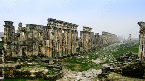 Great Colonnade at Apamea in fog, partially destroyed, Syria photo