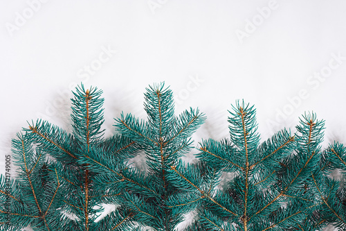 Green Christmas fir tree branches isolated on white background.