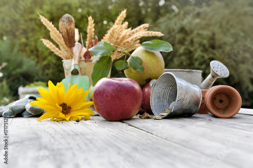 pommes et fleurs sur table de jardin