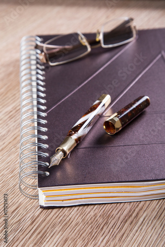 fountain pens and diaries with leather cover