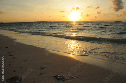Fototapeta Naklejka Na Ścianę i Meble -  Beautiful Golden Sunset or Sunrise over the Ocean