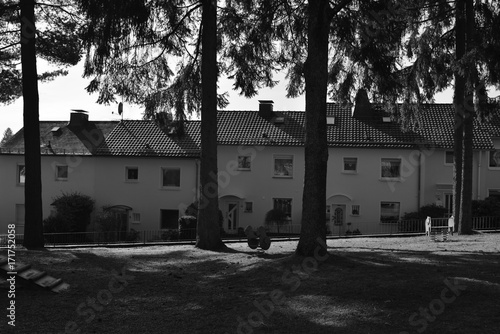 Gartenstadt Siedlung Wenscht in Siegen-Geisweid mit Reihenhäusern und Fichten photo