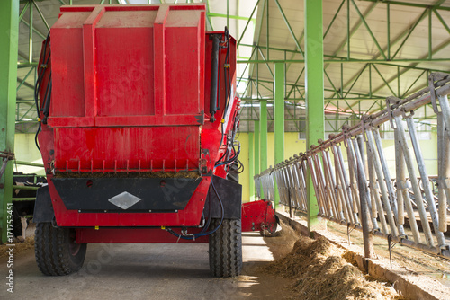 dairy cow distributes hay to machine