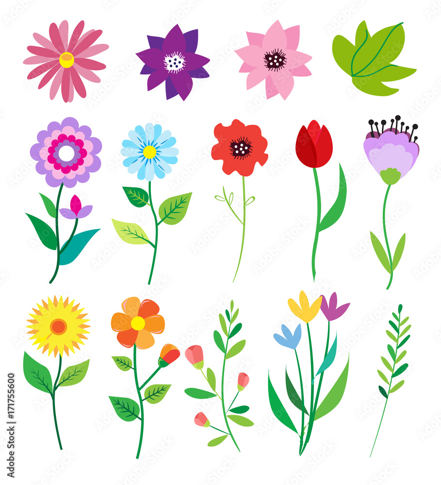 Obraz premium Big doodle set of flowers and leaves. Spring elements. Summer background. Vector illustration. Floral set