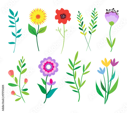 Big doodle set of flowers and leaves. Spring elements. Summer background. Vector illustration. Floral set