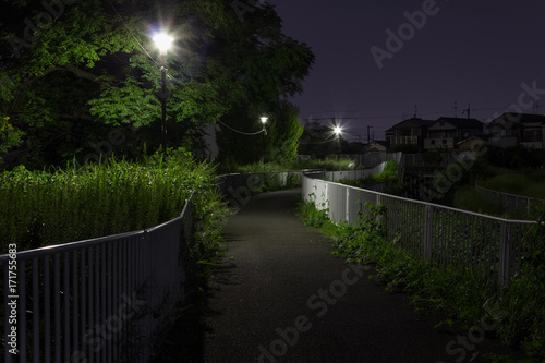 川沿いの堤防の夜道