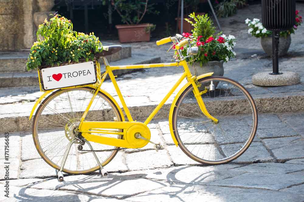 Fahrrad mit Blumen in Tropea