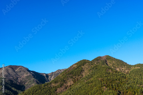 green forest mountain and clear blue sky