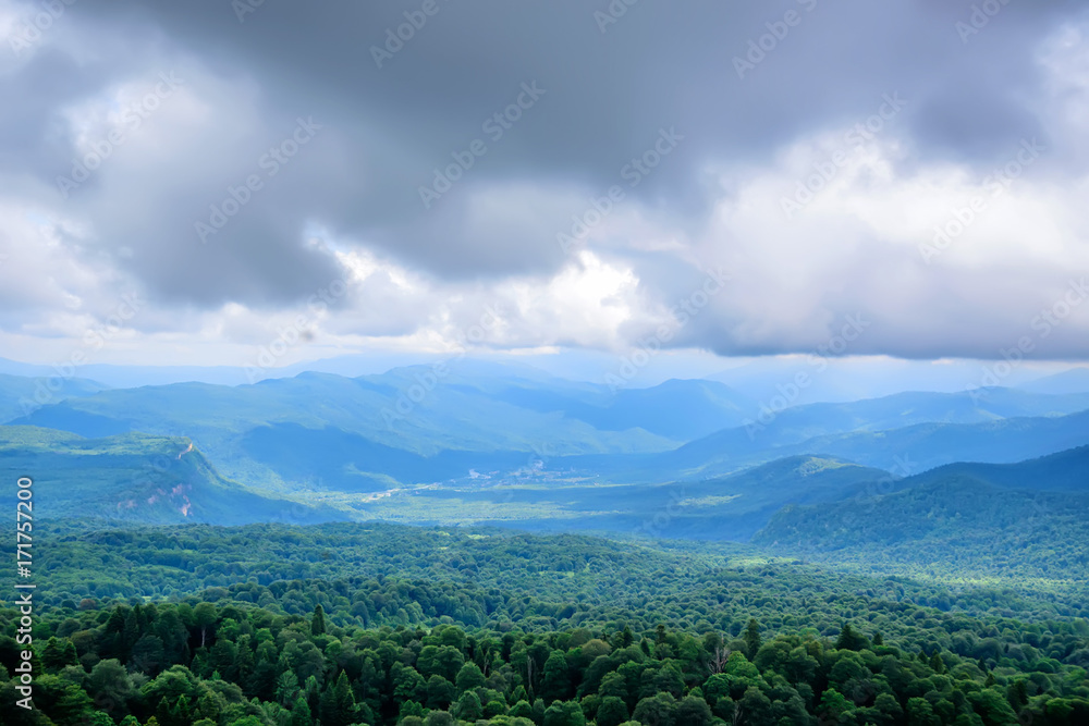 Mountain landscape with summer forest Mountain landscape with summer forest
