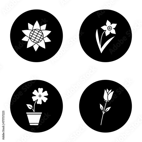 Flowers glyph icons set