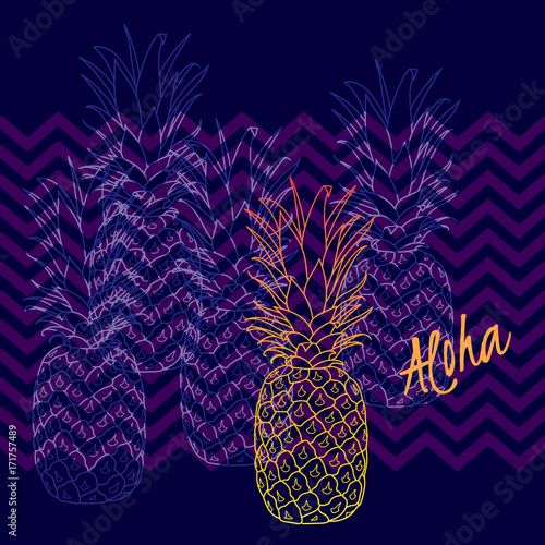 Pineapple poster, vector illustration. Hand drawn exotic tropical fruit in outline. Aloha means Hello in Hawaii