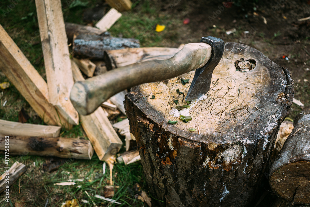 Obraz premium Axe in the stump
