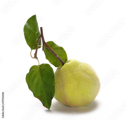 Quince with twig and leaves isolated on white background