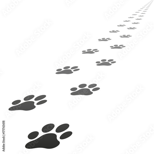 Vector dog paw prints