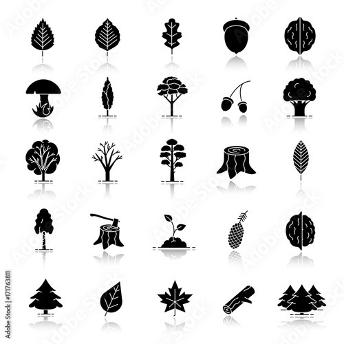 Tree types drop shadow black glyph icons set
