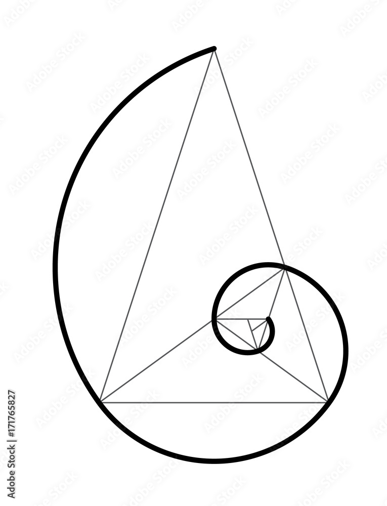 Golden ratio. Cover template. Stock Vector | Adobe Stock