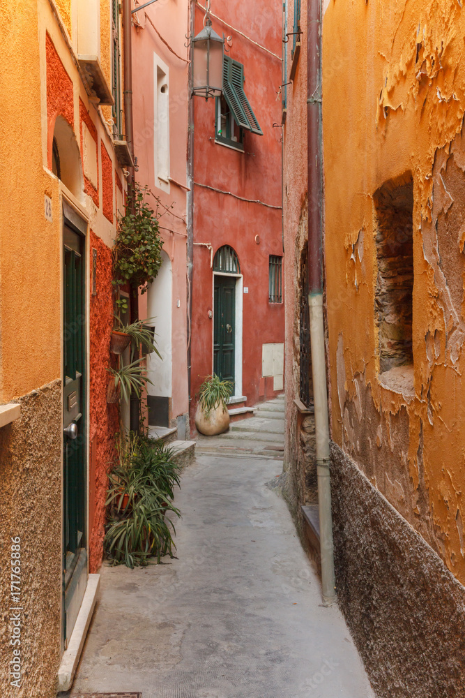 Fototapeta Path between old colored houses in Tellaro, a small fishing village in Italy.