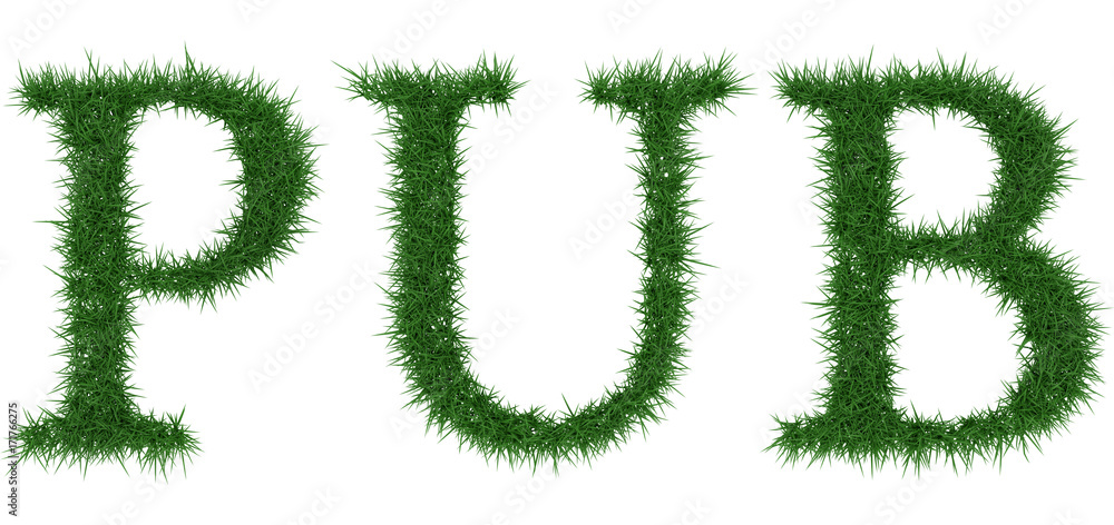 Pub - 3D rendering fresh Grass letters isolated on whhite background. Pub - 3D rendering fresh Grass letters isolated on whhite background.