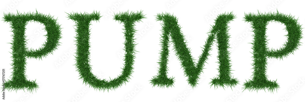Pump - 3D rendering fresh Grass letters isolated on whhite background. Pump - 3D rendering fresh Grass letters isolated on whhite background.