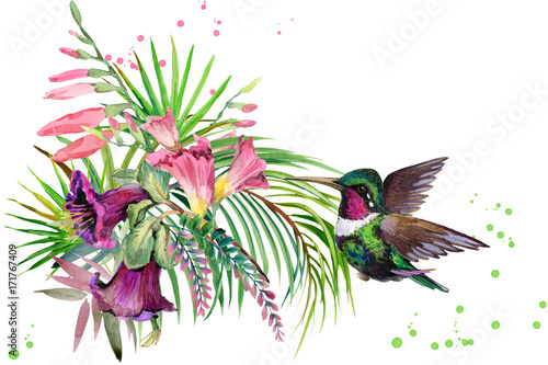 beautiful tropical nature. exotic floral paradise background. jungle plant  bird and flowers. Hummingbird. rain forest watercolor illustration.