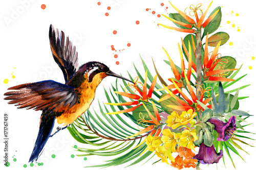 beautiful tropical nature. exotic floral paradise background. jungle plant, bird and flowers. Hummingbird. rain forest watercolor illustration.