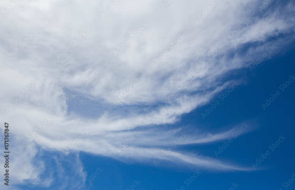 The pattern of clouded fluffy feather. On the blue backdrop There is space for the alphabet layout. The pattern of clouded fluffy feather. On the blue backdrop There is space for the alphabet layout.