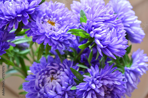 blue flowers