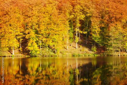 Colorful autumn forest and lake.