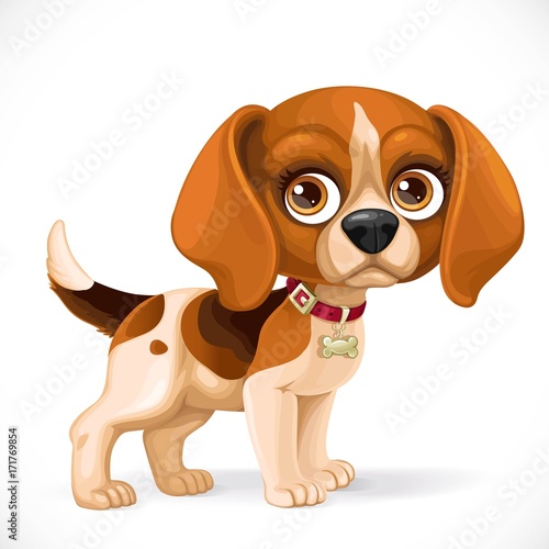 Cute cartoon lop-eared beagle little puppy isolated on a white background