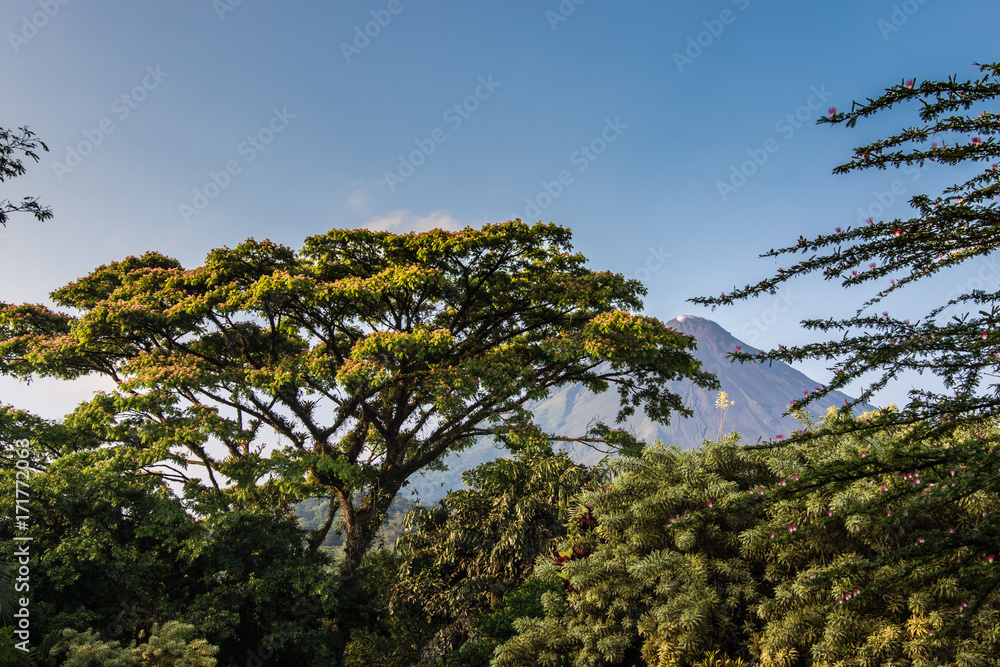 Obraz premium El Arenal