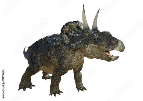 3D Rendering Dinosaur Diceratops on White